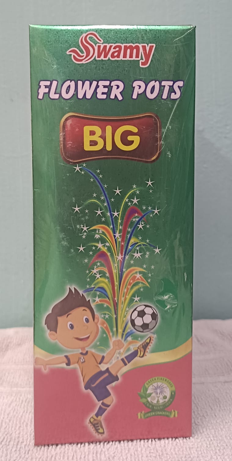 FLOWER POTS BIG (10 Pcs)